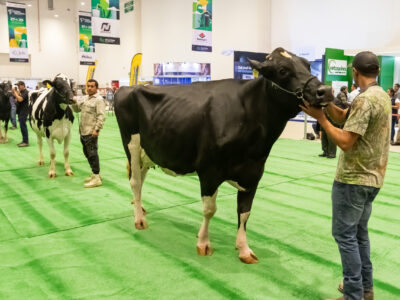 Inauguran en Querétaro “Foro Holstein” 