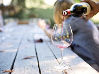 Turismo vitivinícola:  una opción para el verano en Querétaro