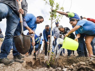 Reforestan más de dos mil árboles en San Juan del Río