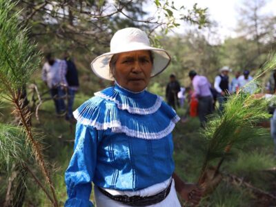 Implementa SEDEA programa de reforestación en Amealco