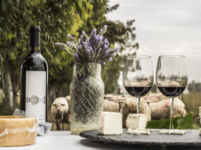 Organiza SECTUR curso de certificación de vinos queretanos 2023