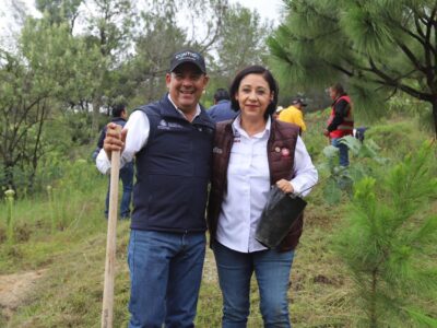 Continúa plan de reforestación en Parque La Beata