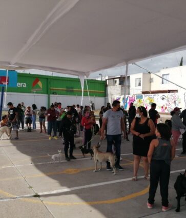 Inicia Jornada Nacional de Vacunación Antirrábica Canina y Felina 2023, en Querétaro
