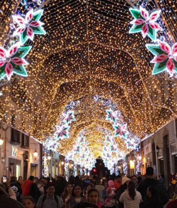 Querétaro espera más de 553 mil visitantes en Navidad