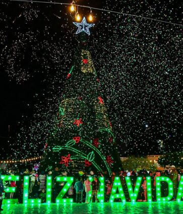Encienden árbol navideño en el municipio de Ezequiel Montes