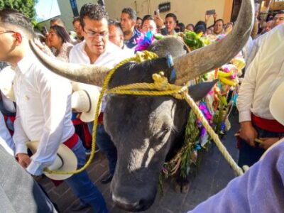 Corregidorenses celebran el tradicional “Paseo del Buey”