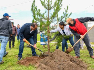 Un millón de árboles plantados en Amealco de Bonfil